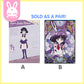 Sailor Moon Eternal ~Eternal Sailor Guardians~ Clear File Folder Sets